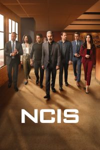 NCIS: Investigação Naval: 21 Temporada