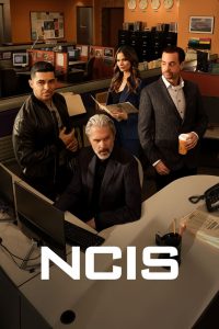 NCIS: Investigação Naval: 22 Temporada