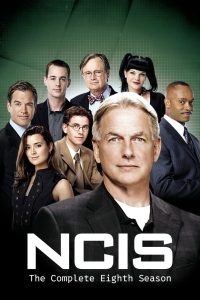 NCIS: Investigação Naval: 8 Temporada